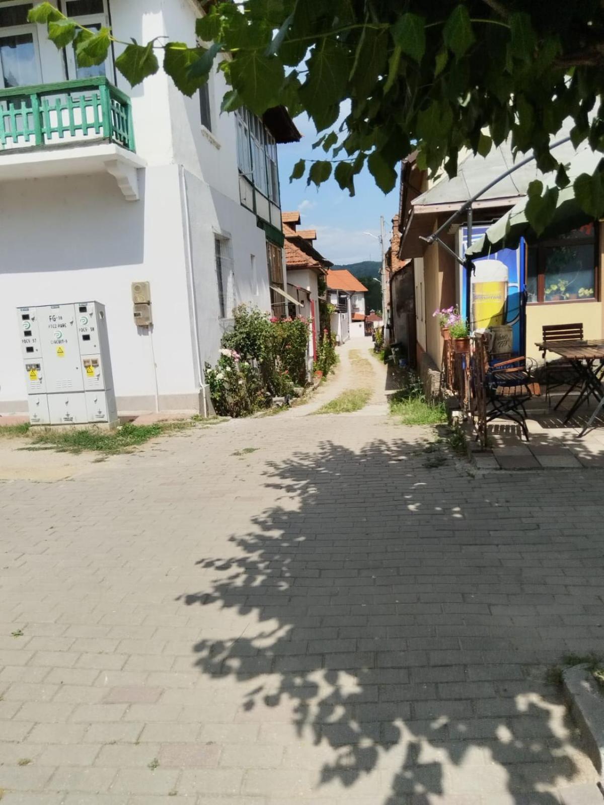Urbanist Guest House Călimăneşti Dış mekan fotoğraf